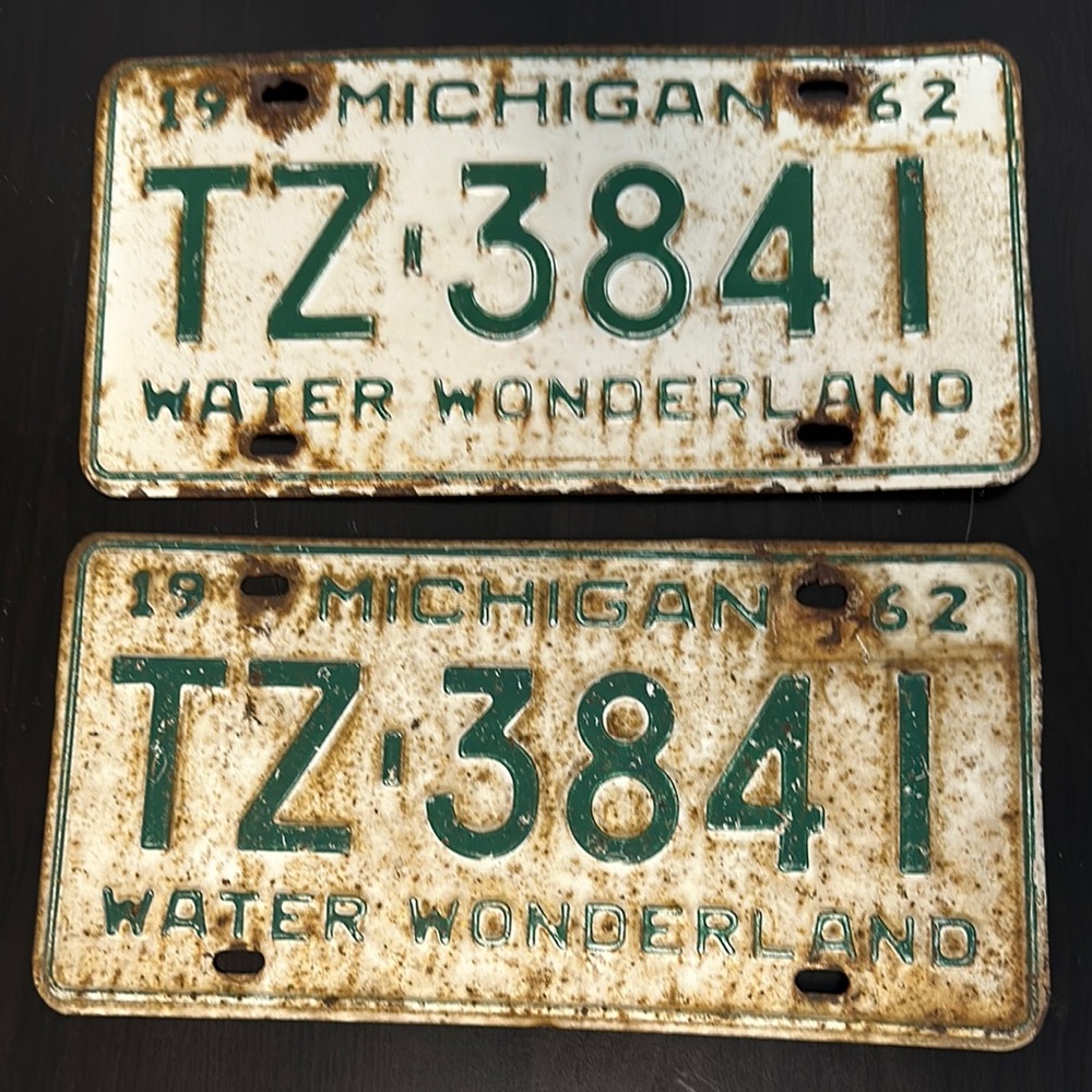 Vintage 1962 Michigan License Plates TZ 3841
